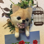 羊毛フェルトチワワのメモ挟み