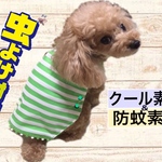 冷！防蚊ぱっちん♪ポンポン（グリーン）