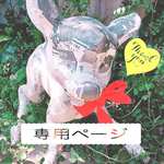 ayapoo様専用ページ