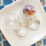指輪型ガラスドーム２組セット／型番ガラスドーム・ボトル26