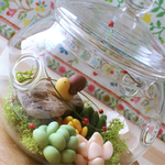 でんでん虫と多肉ちゃん🐌