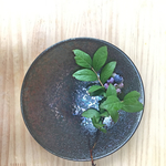 20cmプレート（虹彩天目）