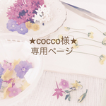 ★cocco様★専用ページ