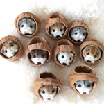 【受注販売】くるカラハムちゃん