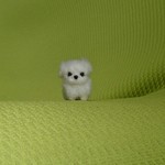 ちびちびペキニーズ ホワイト パピー 羊毛フェルト