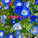 K様専用ページ