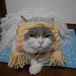  金髪美人🎀