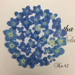 ♡sale♡¥700→¥500 送料無料♡ 押し花紫陽花セット♡