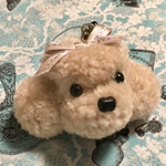 動物ぽんぽん　トイプードル ストラップ 　イヤフォンジャック付き（サイズM）アイボリー