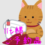 lit様 専用ページ