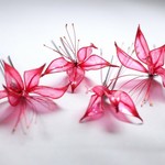 ※Peach candy様オーダー専用ページ※