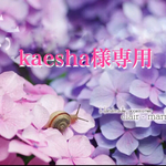 kaesha様専用ページ