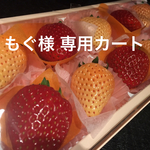 もぐ様専用カートです