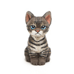 コルクのキジトラ子猫