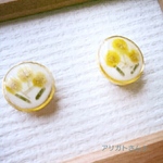 受注生産☆再々販！ミモザ～モダンなまん丸イヤリングorピアス
