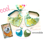 cool❗️リバーシブル＊中型犬用 ハワイアン×星☆クールバンダナ