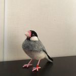 オーダー品 文鳥