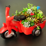 可愛い赤のバイクと多肉植物