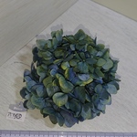 ドライフラワー紫陽花 ⑮ 2017