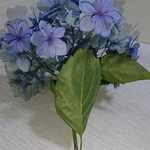 ドライフラワー紫陽花 ⑯ 2017