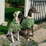 フィラリア対策防蚊ニット🌟イタグレ服 セミオーダー可