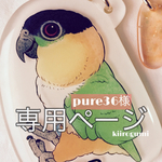 pure36様専用ページ（ズグロシロハラインコ