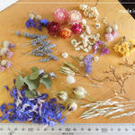 ドライフラワー 貝細工 雪柳 ニゲラ ユーカリ ラベンダー 花びら キャンドル レジン 材料