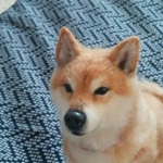 tayu＊様オーダーページ