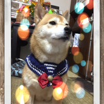 P様専用★★碇付きマリンバンダナ