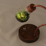 [hat様お問い合わせ分] bulb terrarium mini