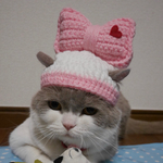 ピンクリボン🎀