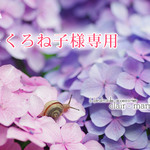 くろね子様専用ページ