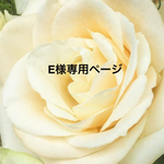 E様専用ページ