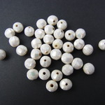 モザイクシェル　オウム貝　7ｍｍ　10個セット