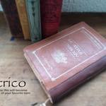 洋書（ブラウン）