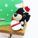 クリスマス☆ダックス  ブラックタン