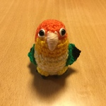 モモヒキ可愛い♡シロハラインコちゃん（中型インコ）