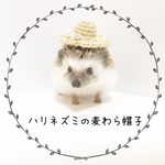 ハリネズミ　ミニチュア帽子　