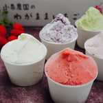 『じゅん散歩』で高田純次さんも絶賛した！枝豆ジェラートいりバラエティセット