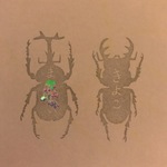 お名前はんこ（虫シリーズ）