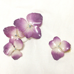 本物の花のイヤーカフセット