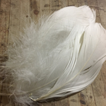 リアル フェザー 羽根 ホワイト  10枚セット 10-15cm 金具付き