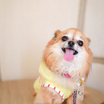 kaiHiRO130623様専用ページ♡