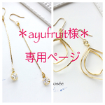 ＊ayufruit様＊ 専用ページ
