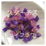 スターチス♡花びらmix