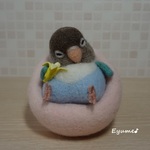 寝落ちインコ･･･zzz　～クッション～【ボタンインコ】