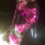 【PINK in Black】ハーバリウム 花 ブラック ピンク 可愛い インテリア 置物 黒 プレゼント ギフト 誕生日 結婚 ウェディング