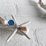 ★送料無料★天然の貝とスターフィッシュのヘアクリップ