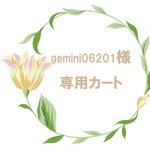 gemini06201様専用カート（他の方のご購入はお控え願います）