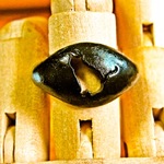  Lady color cat black ring